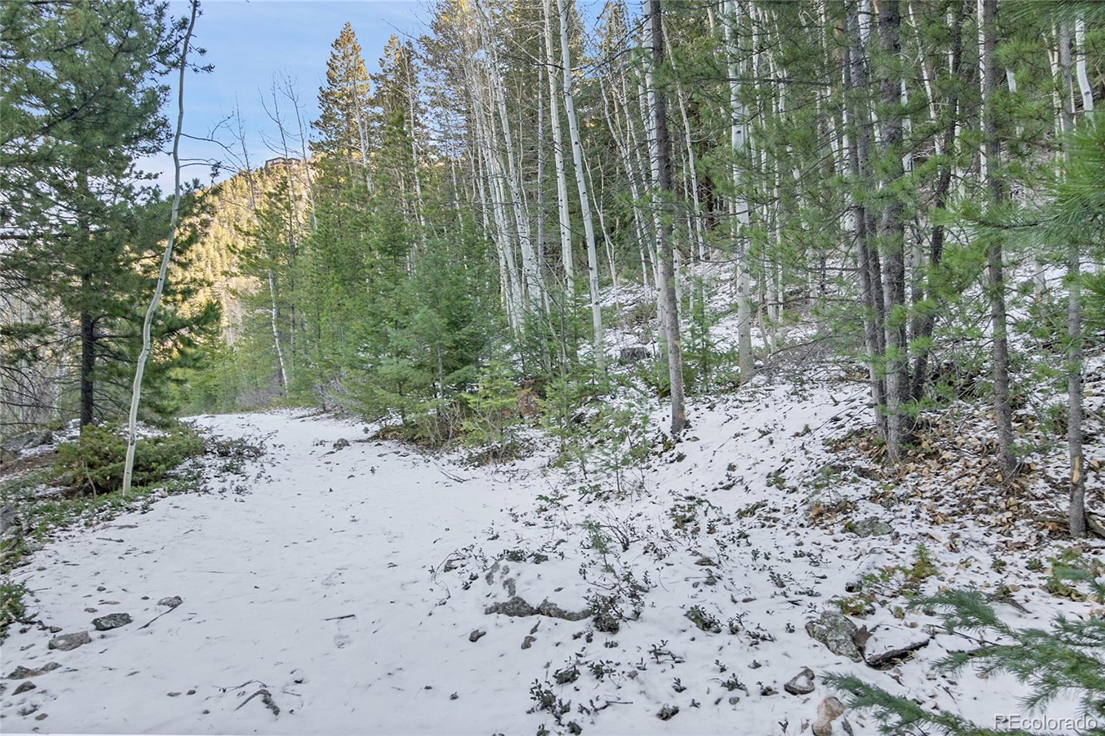 Clear Creek Rd Road Evergreen, CO 80439 - Photo 9 of 33 a view of a forest with trees