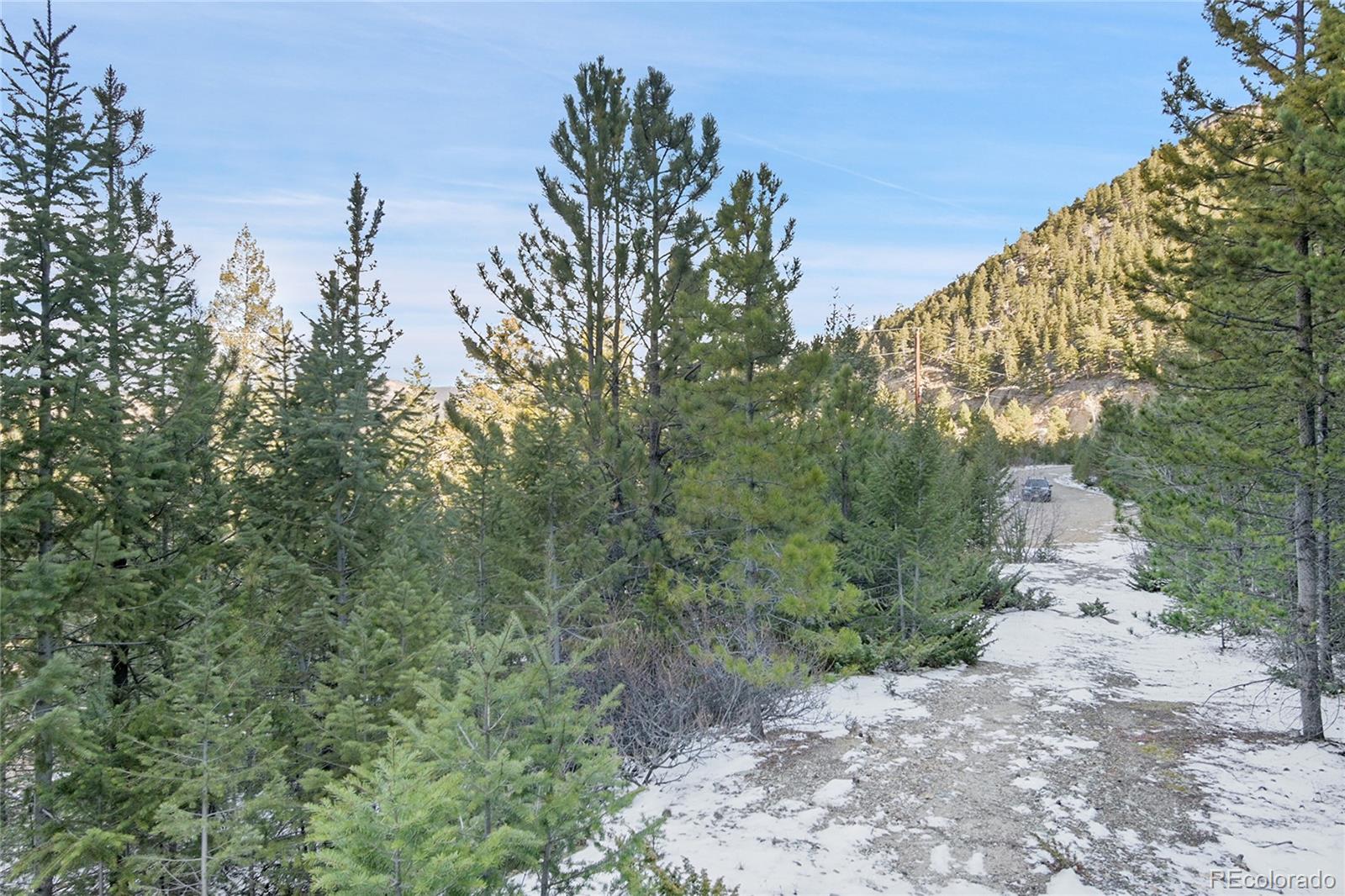 Clear Creek Rd Road Evergreen, CO 80439 - Photo 10 of 33 a view of a yard with a tree
