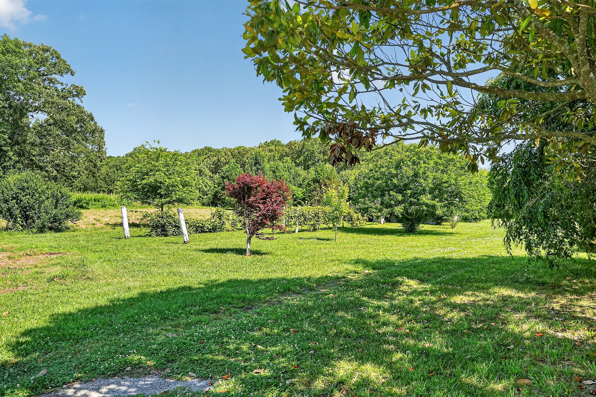 1600 Magness Road McMinnville, TN 37110 - Photo 6 of 63