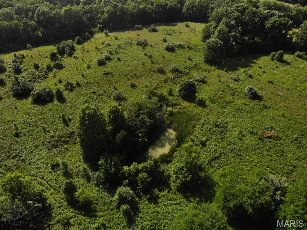 0 East Fairfield Road Bluford, IL 62814 - Photo 4 of 8