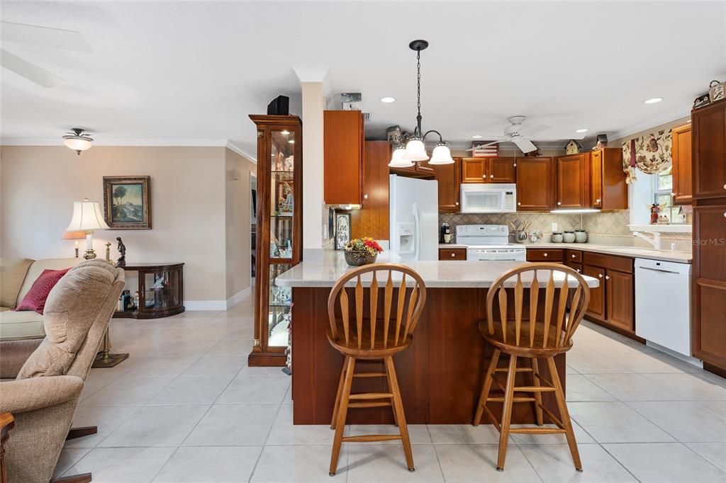 98 Mockingbird Lane Eustis, FL 32726 - Photo 14 of 69