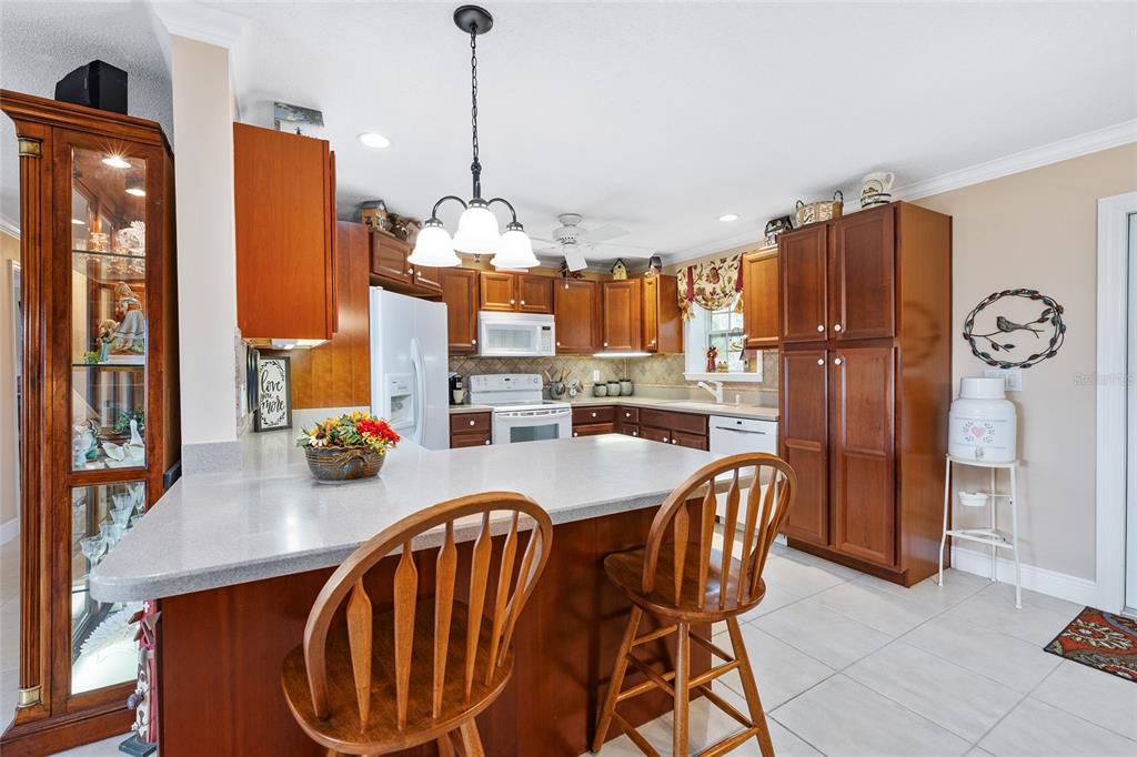 98 Mockingbird Lane Eustis, FL 32726 - Photo 17 of 69