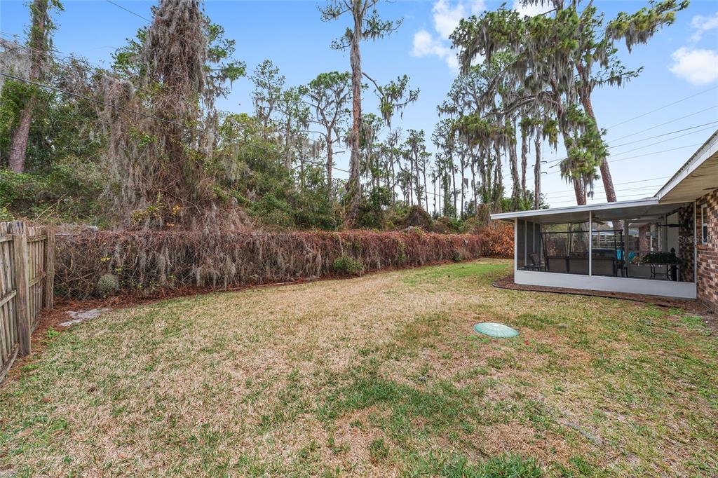 98 Mockingbird Lane Eustis, FL 32726 - Photo 61 of 69