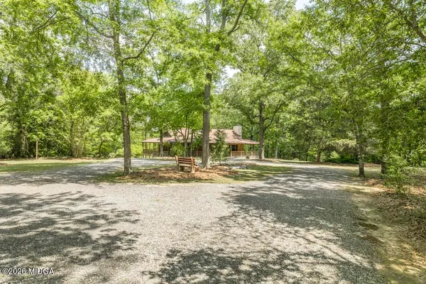 a view of a yard with a tree