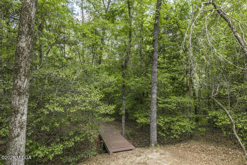 194 Delone Road Byron, GA 31008 - Photo 36 of 49 a view of a forest with a tree