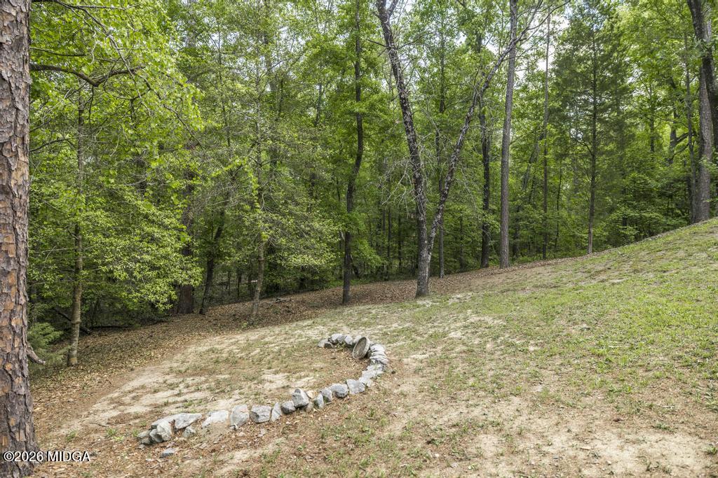 194 Delone Road Byron, GA 31008 - Photo 37 of 49 a view of a yard with trees