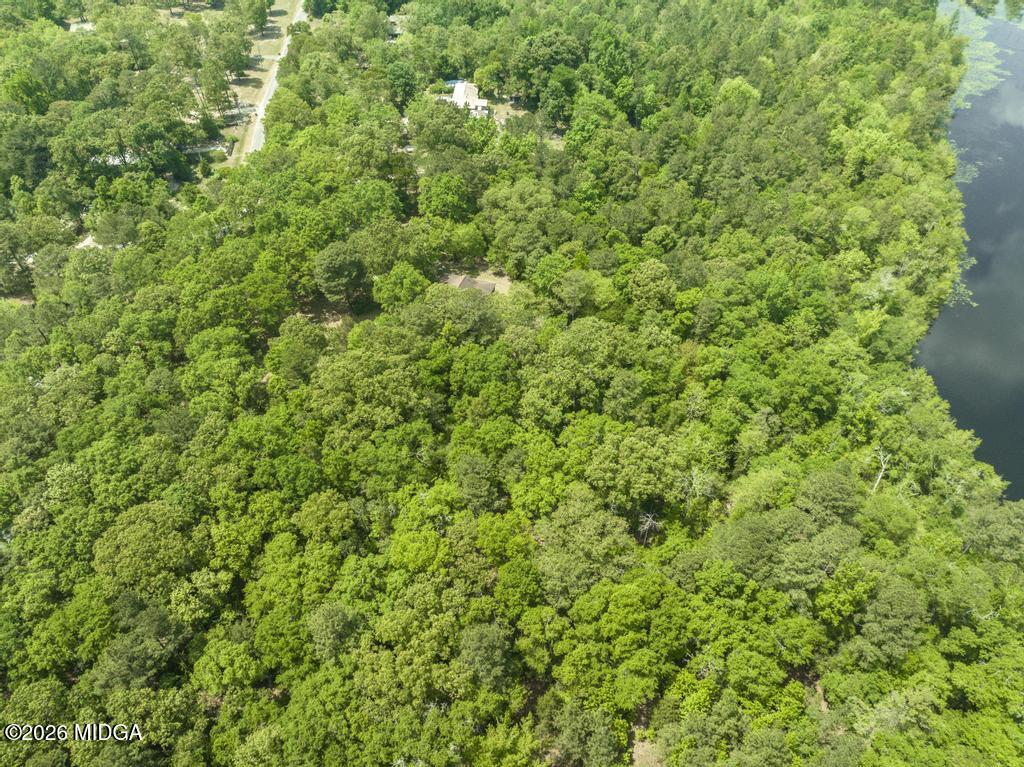 194 Delone Road Byron, GA 31008 - Photo 42 of 49 a view of a lush green forest with large trees