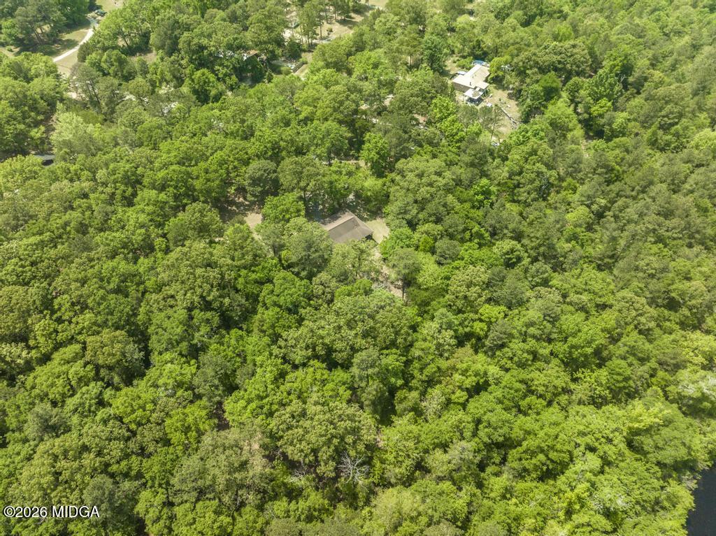194 Delone Road Byron, GA 31008 - Photo 43 of 49 a view of a lush green forest with a tree