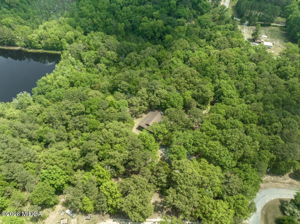 194 Delone Road Byron, GA 31008 - Photo 47 of 49 a view of a lush green forest with lots of trees