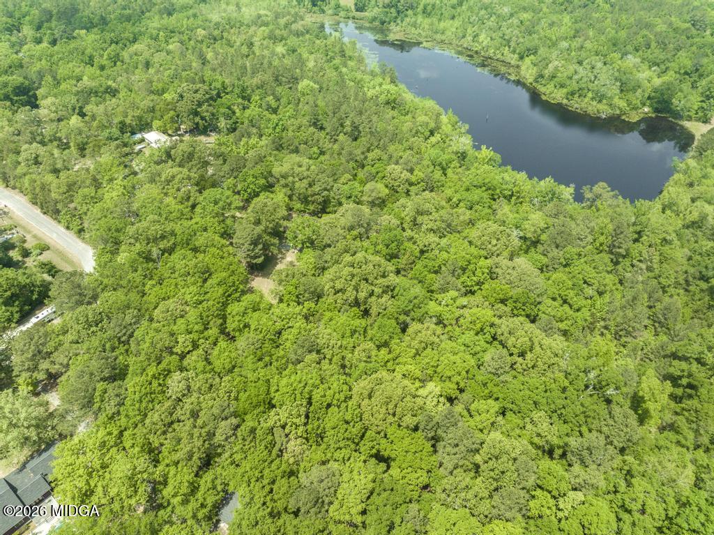 194 Delone Road Byron, GA 31008 - Photo 49 of 49 a view of a garden