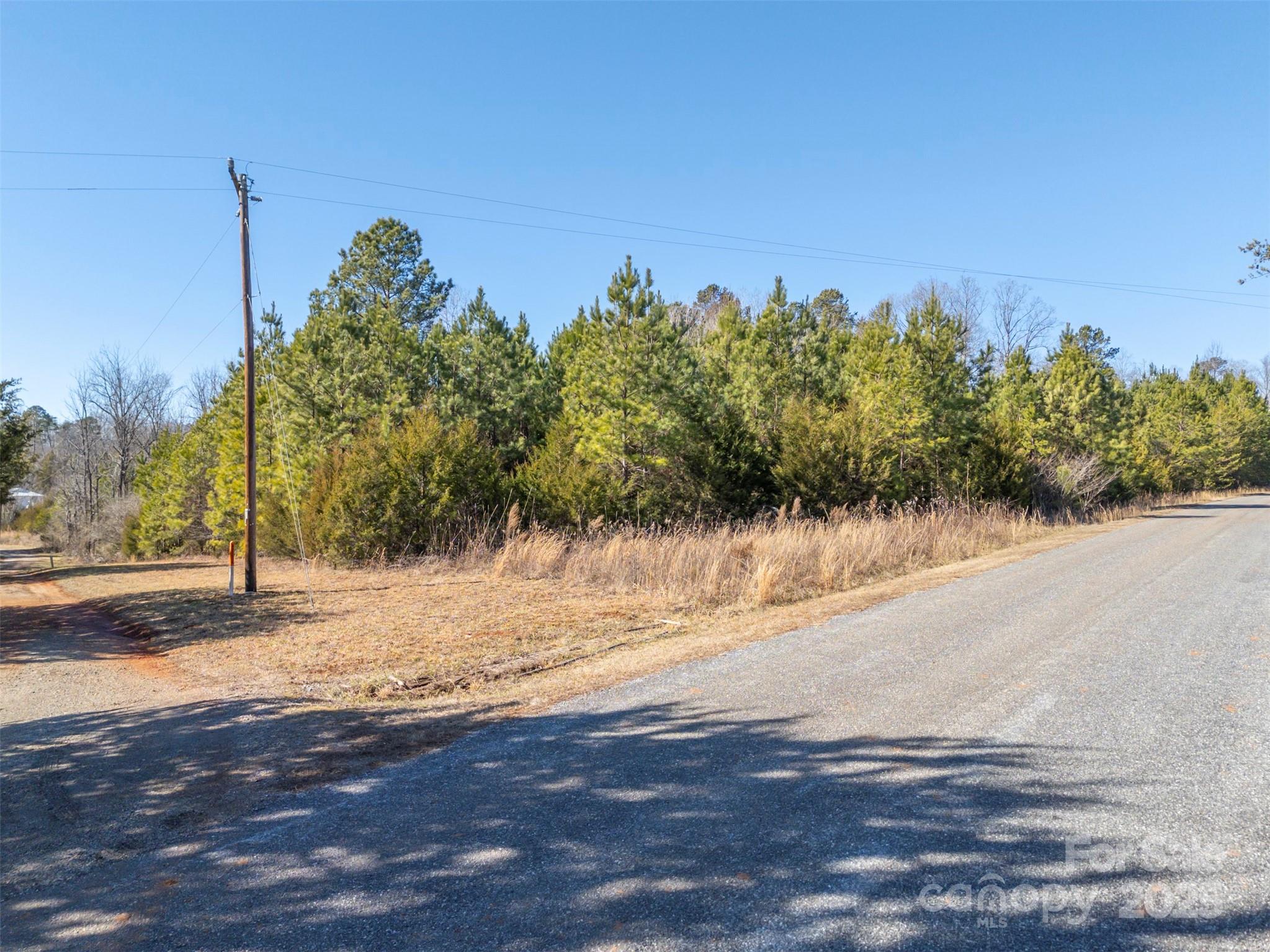 0 John C Logan Road Rutherfordton, NC 28139 - Photo 2 of 2