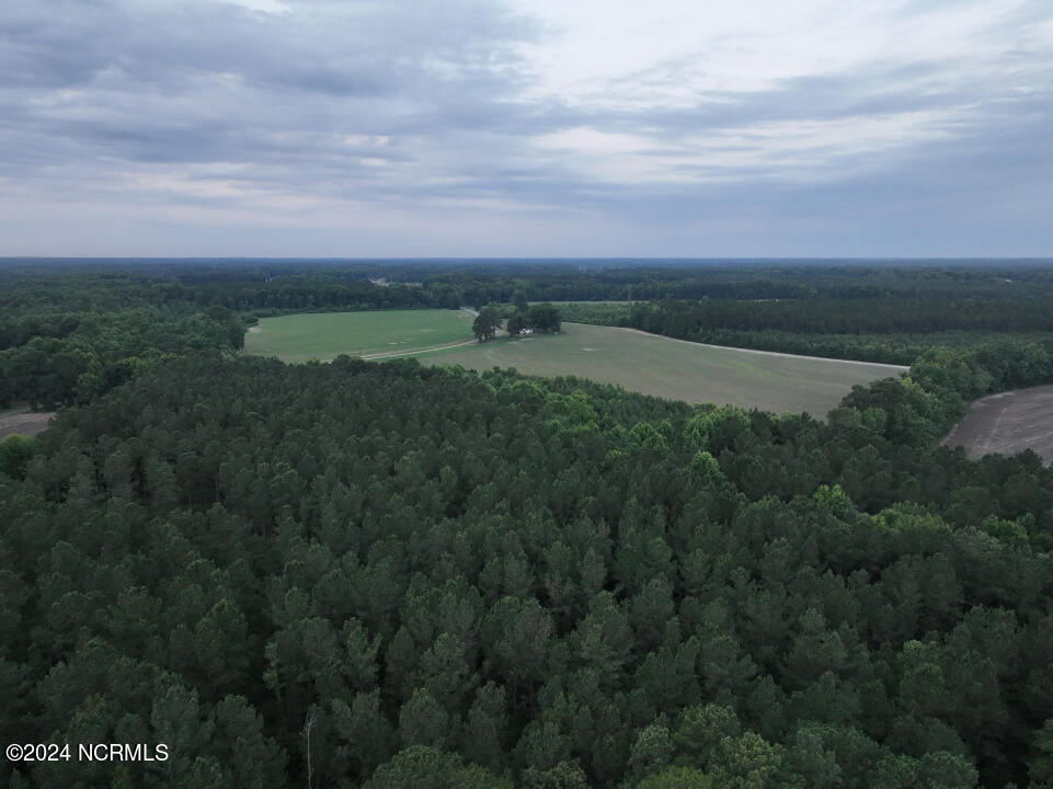 0 Meadow Road Kenly, NC 27542 - Photo 30 of 56 30