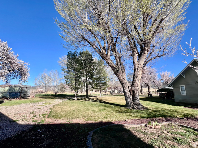 479 East 100 N Road Meadow, UT 84644 - Photo 39 of 59 View of grassy yard
