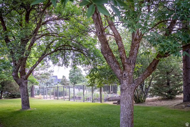 435 Canyon Road Millville, UT 84326 - Photo 50 of 113 Expansive yard featuring mature trees, a manicured lawn, and a fenced garden area