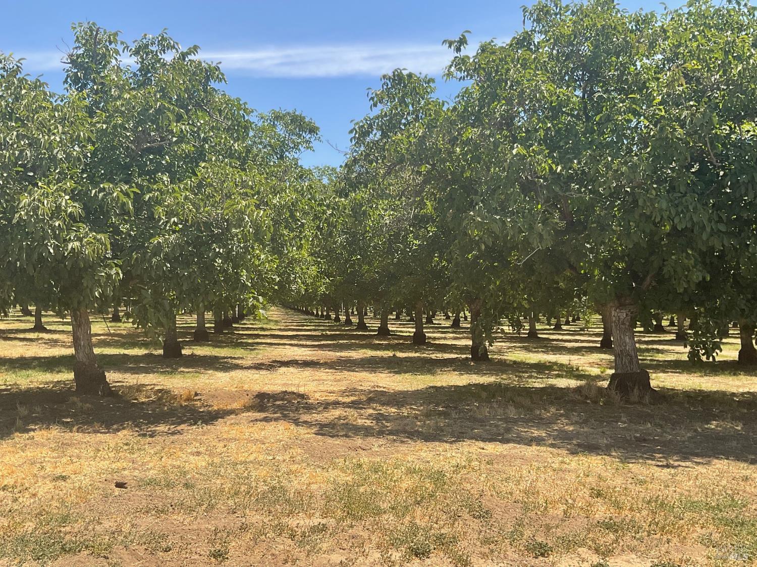 0 Putah Creek Road Winters, CA 95694 - Photo 3 of 5