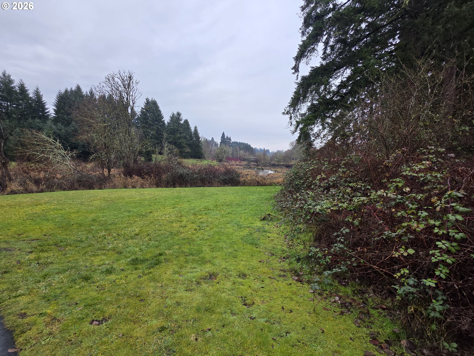 507 North 19th Avenue, Unit 49 Cornelius, OR 97113 - Photo 30 of 33 a view of outdoor space with mountain view
