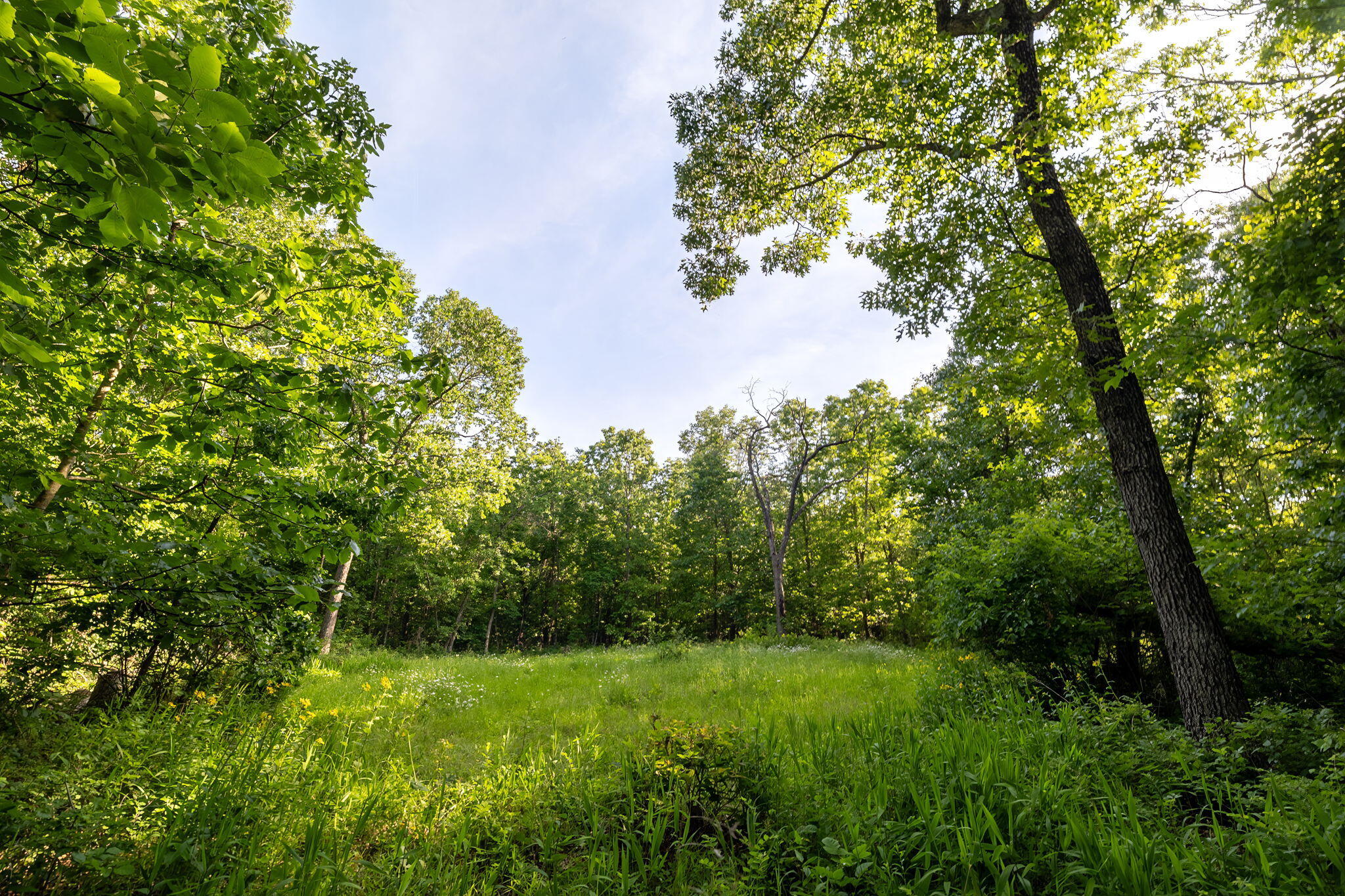 3093 South 25th Road Humansville, MO 65674 - Photo 29 of 62 33-web-or-mls-A-33