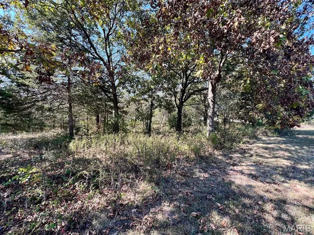 $455,000 | 1976 East Highway 28, Owensville, MO 65066