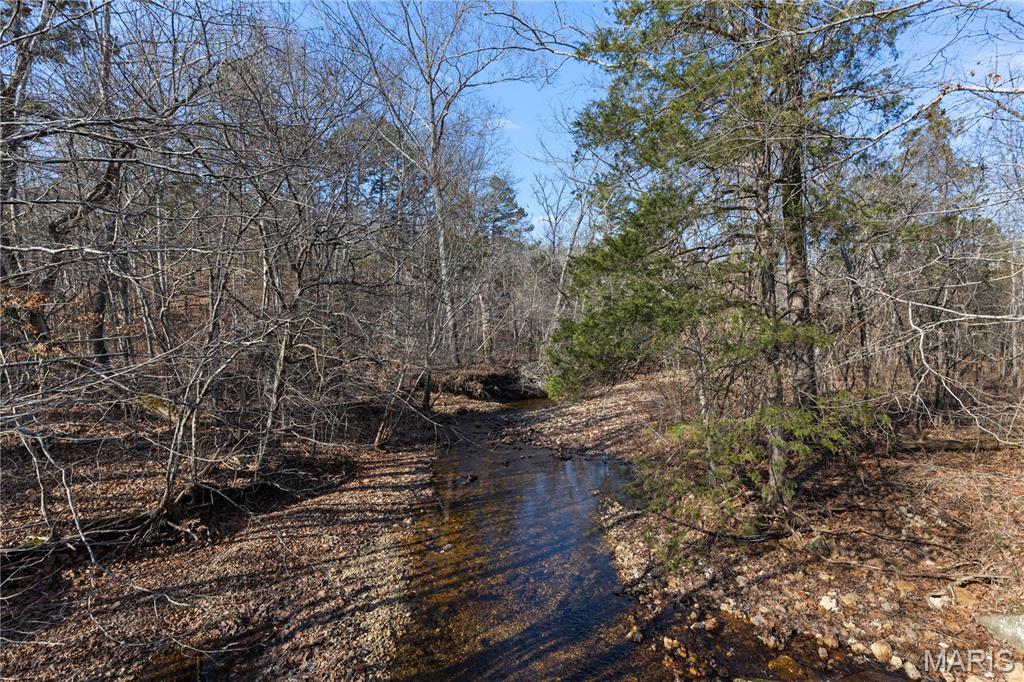 209 County Road Silva, MO 63964 - Photo 11 of 35