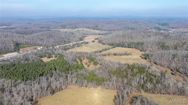 $395,000 | 209 County Road, Silva, MO 63964