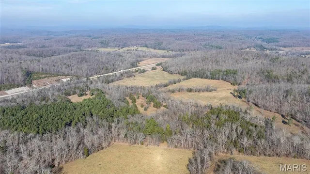 $395,000 | 209 County Road, Silva, MO 63964