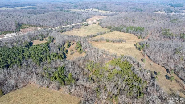 $395,000 | 209 County Road, Silva, MO 63964
