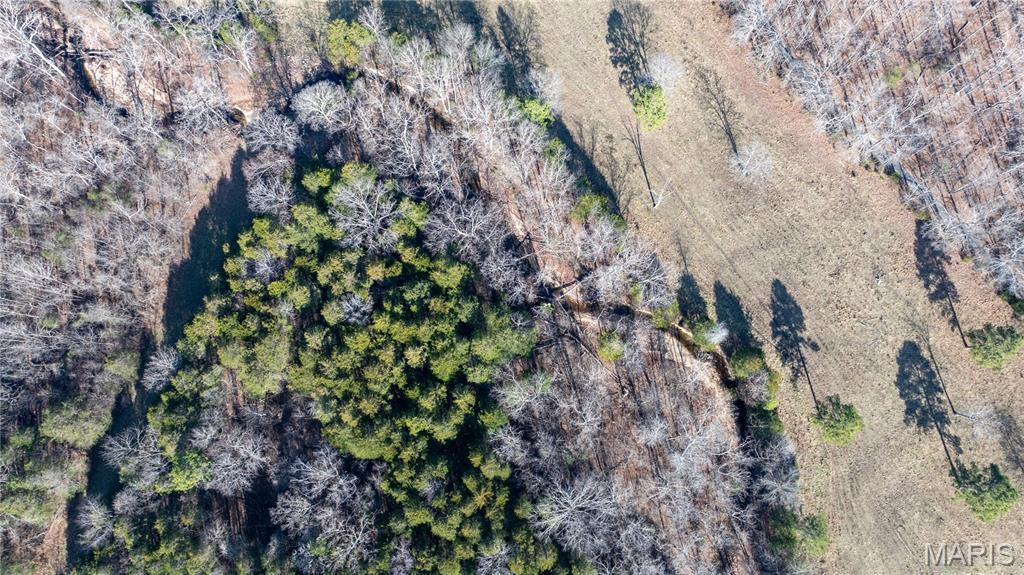 209 County Road Silva, MO 63964 - Photo 16 of 35