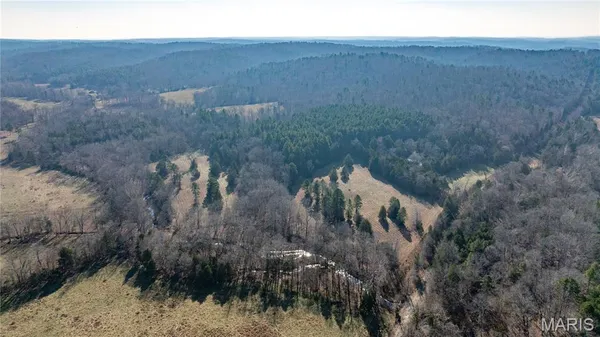 $395,000 | 209 County Road, Silva, MO 63964