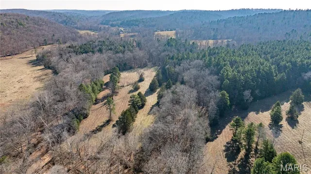 $395,000 | 209 County Road, Silva, MO 63964