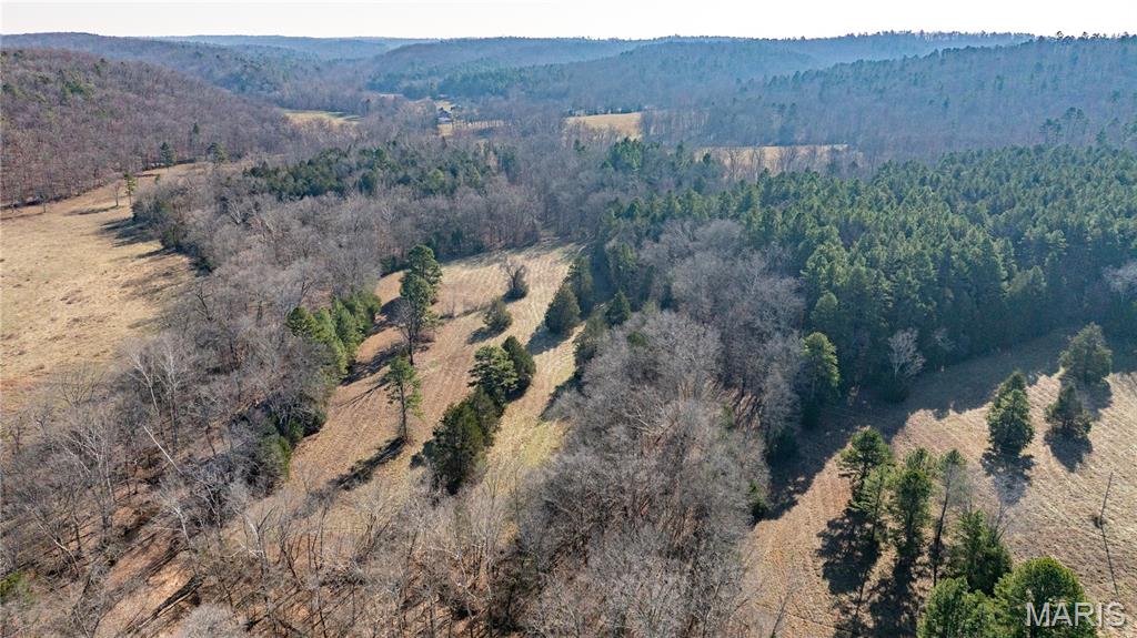 209 County Road Silva, MO 63964 - Photo 20 of 35