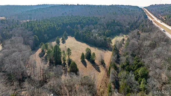$395,000 | 209 County Road, Silva, MO 63964