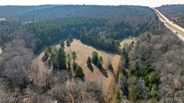 $395,000 | 209 County Road, Silva, MO 63964