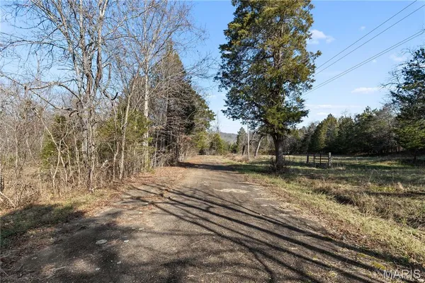 $395,000 | 209 County Road, Silva, MO 63964