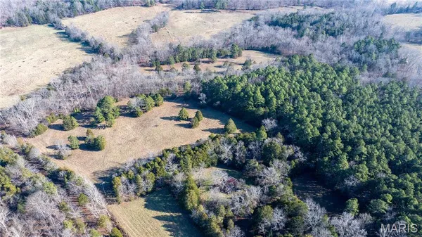 $395,000 | 209 County Road, Silva, MO 63964