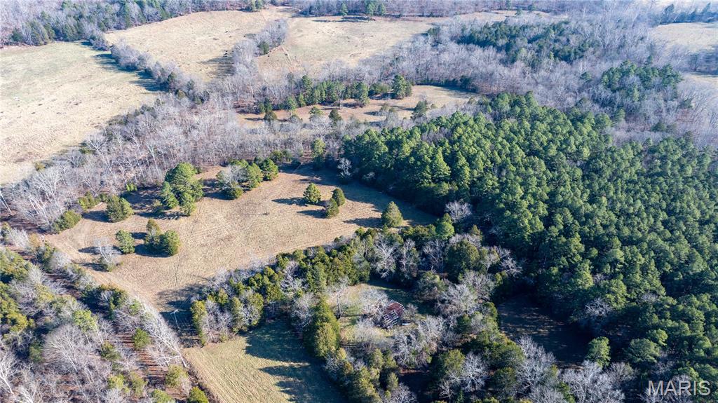 209 County Road Silva, MO 63964 - Photo 30 of 35