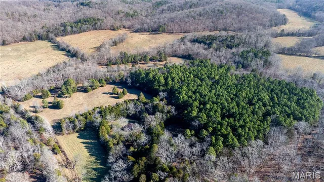 $395,000 | 209 County Road, Silva, MO 63964