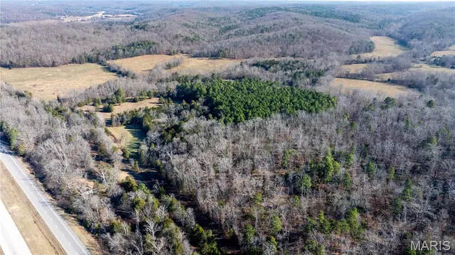 $395,000 | 209 County Road, Silva, MO 63964