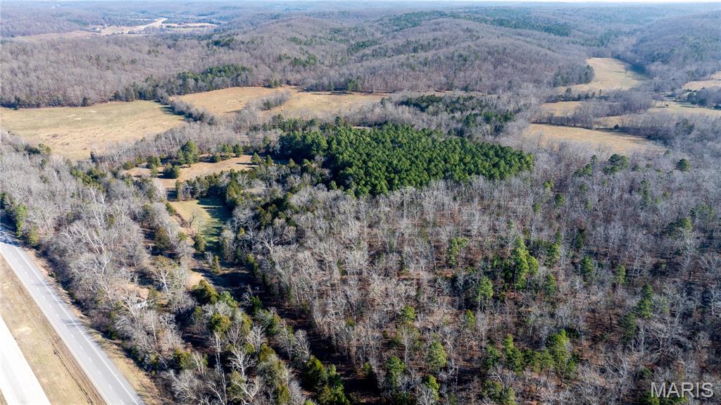 209 County Road Silva, MO 63964 - Photo 32 of 35