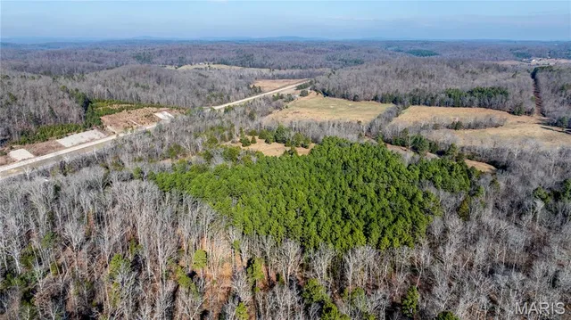 $395,000 | 209 County Road, Silva, MO 63964