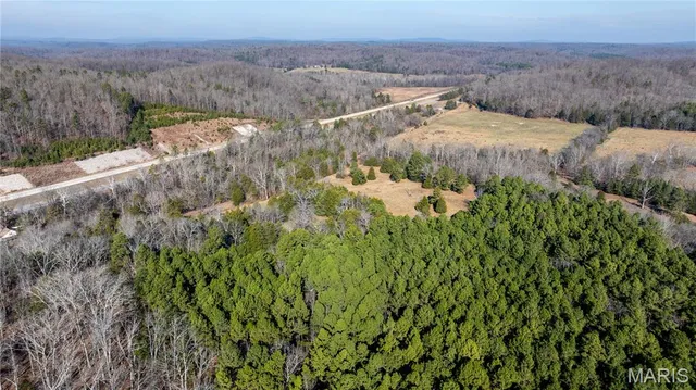 $395,000 | 209 County Road, Silva, MO 63964