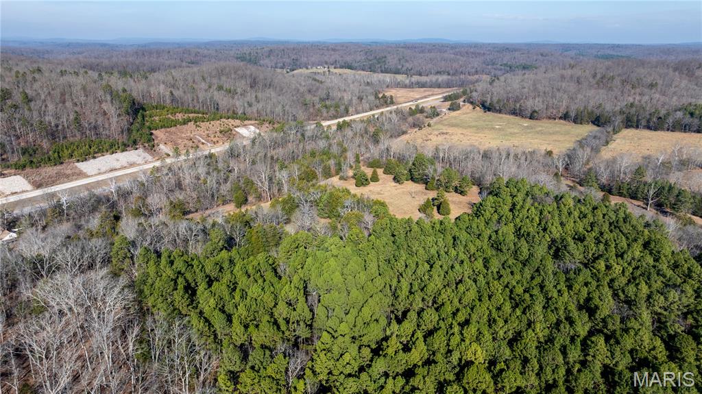 209 County Road Silva, MO 63964 - Photo 34 of 35