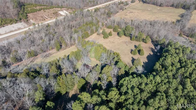 $395,000 | 209 County Road, Silva, MO 63964