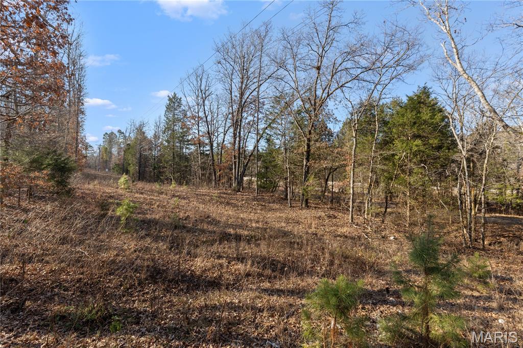 209 County Road Silva, MO 63964 - Photo 5 of 35