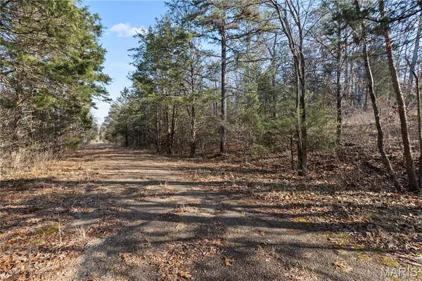 $395,000 | 209 County Road, Silva, MO 63964