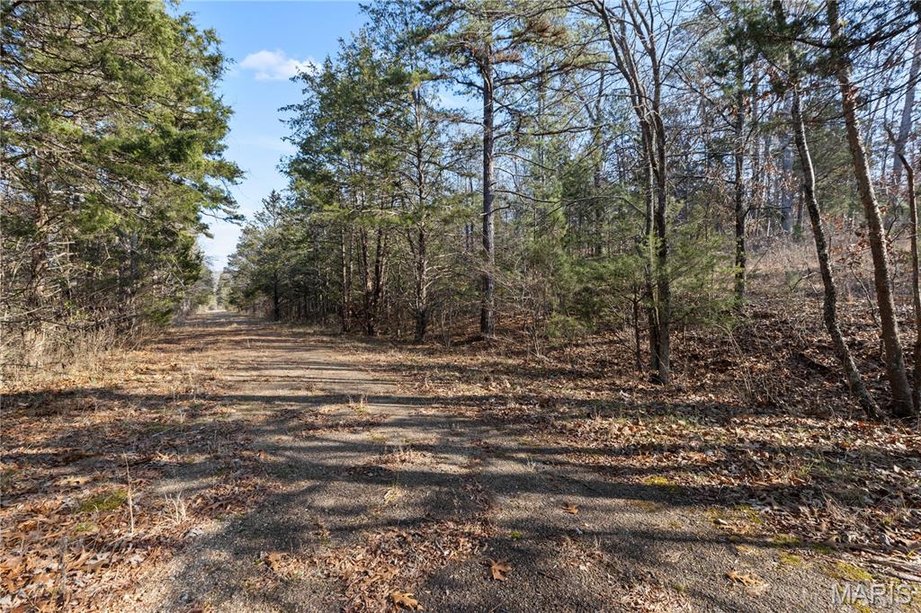 209 County Road Silva, MO 63964 - Photo 7 of 35