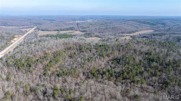 $395,000 | 209 County Road, Silva, MO 63964