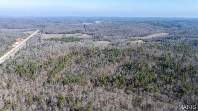 $395,000 | 209 County Road, Silva, MO 63964