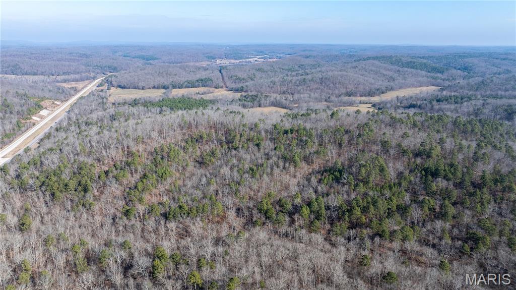 209 County Road Silva, MO 63964 - Photo 8 of 35