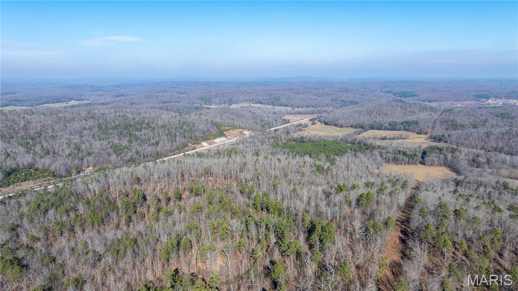 209 County Road Silva, MO 63964 - Photo 10 of 35