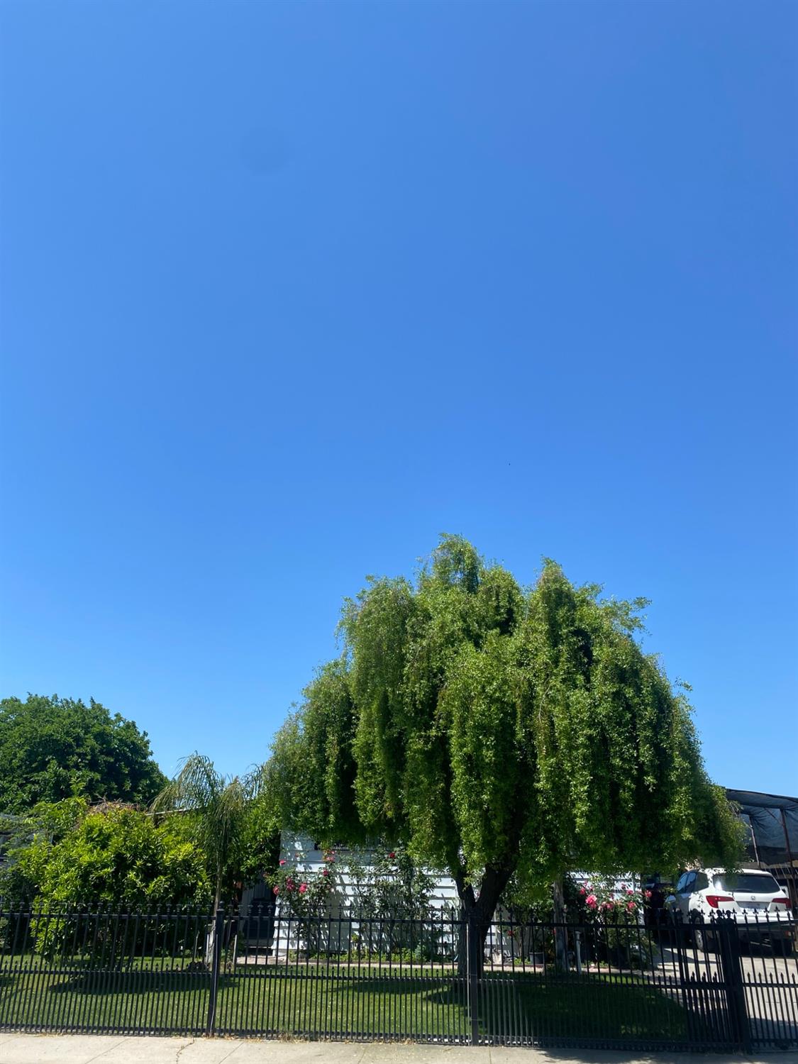 6289 Monica Way Winton, CA 95388 - Photo 27 of 27 a view of building with green space